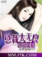劍風傳奇之火龍騎士