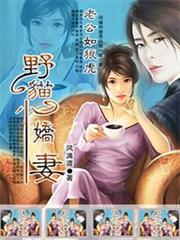 系統供應商