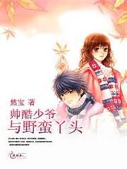銀河系征服手冊