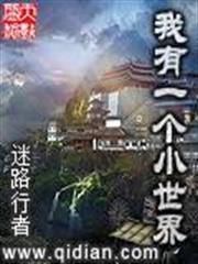 滿級帳號在異界